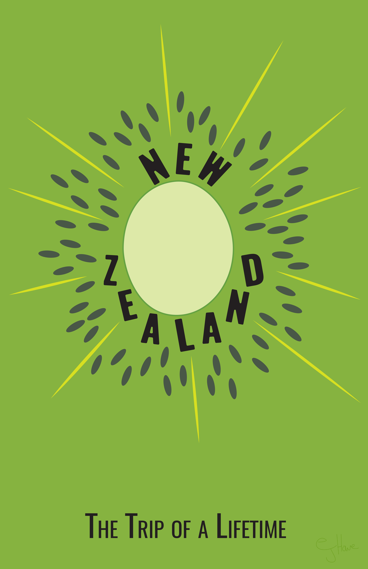 Graphic Design Typography Project New Zealand Travel Poster